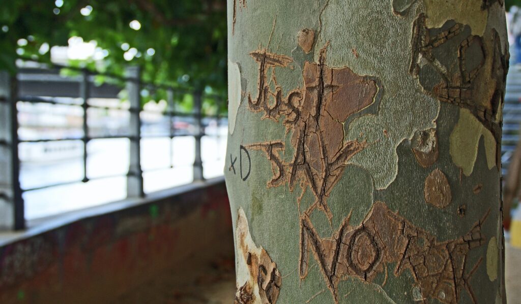 Tree trunk with "just say no" carved in it.