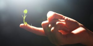 Hand gently holding a small green plant sprouting from the tip of a finger, symbolizing growth and hope in the context of mental health and anxiety management.