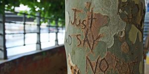 Tree trunk with "just say no" carved in it.