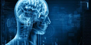 Human head silhouette with visible brain structure, representing trauma and cognitive processes, against a blue digital background, relevant to trauma treatment and healing methods.